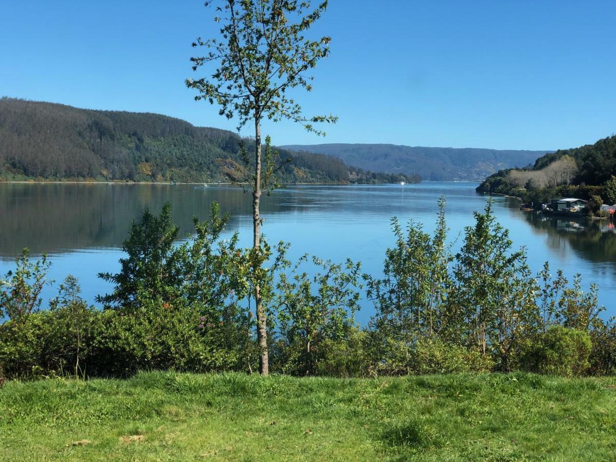 Hotel Boutique Cutipay Valdivia Dış mekan fotoğraf